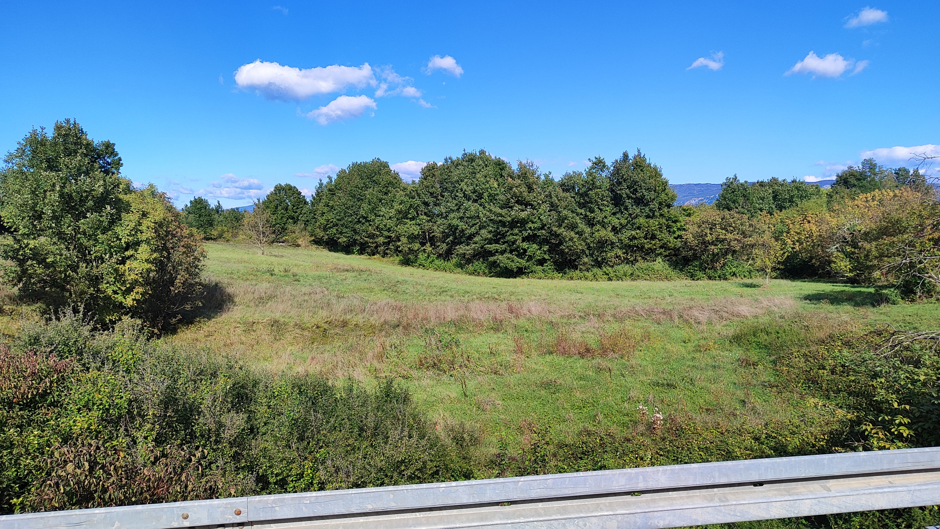 Wide open meadow on the property