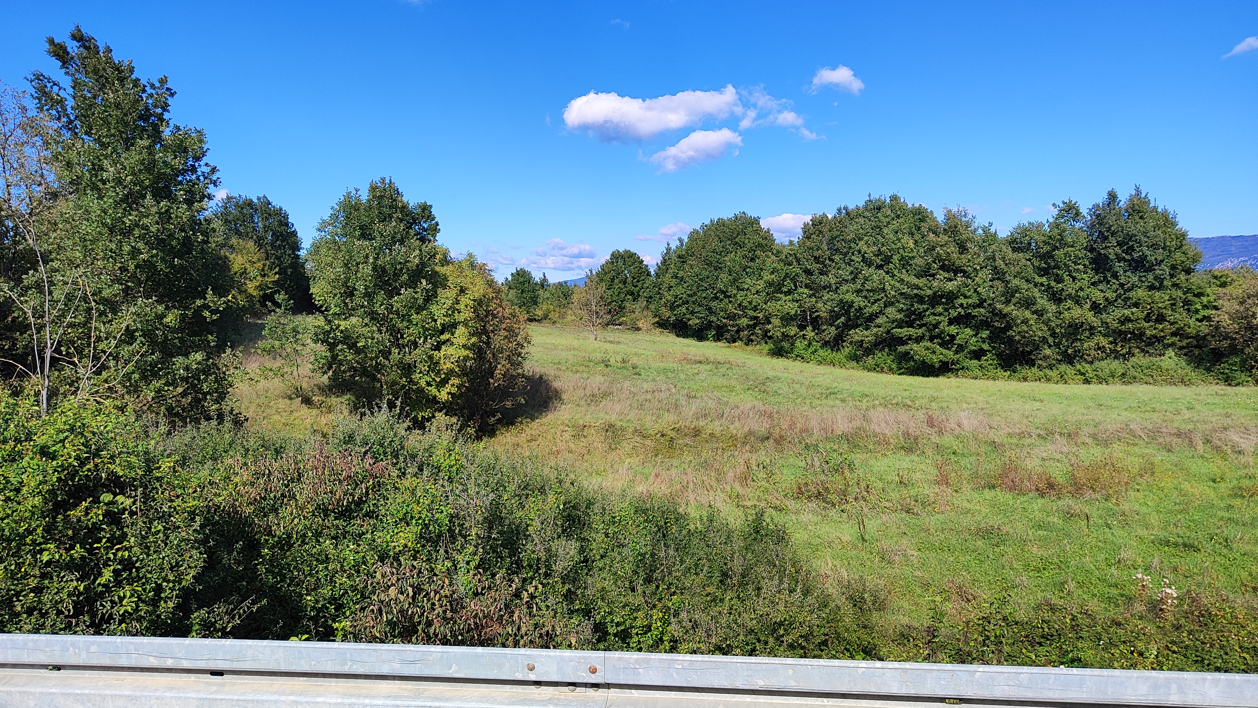 Gentle slopes with lush vegetation
